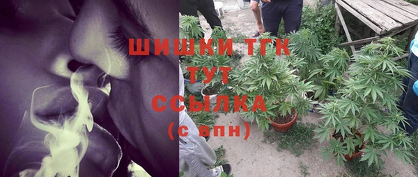 тгк Новодвинск