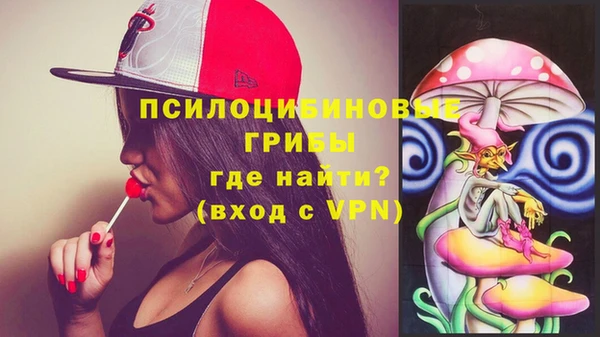 тгк Новодвинск
