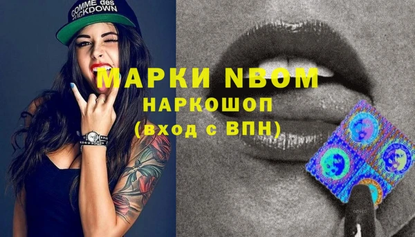 тгк Новодвинск