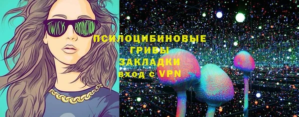 тгк Новодвинск