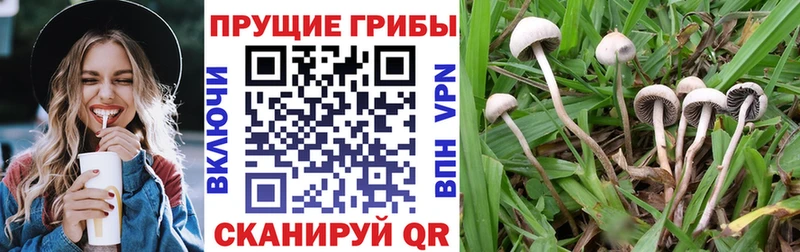 Галлюциногенные грибы MAGIC MUSHROOMS  как найти наркотики  Рыльск 